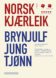 Norsk kjærleik